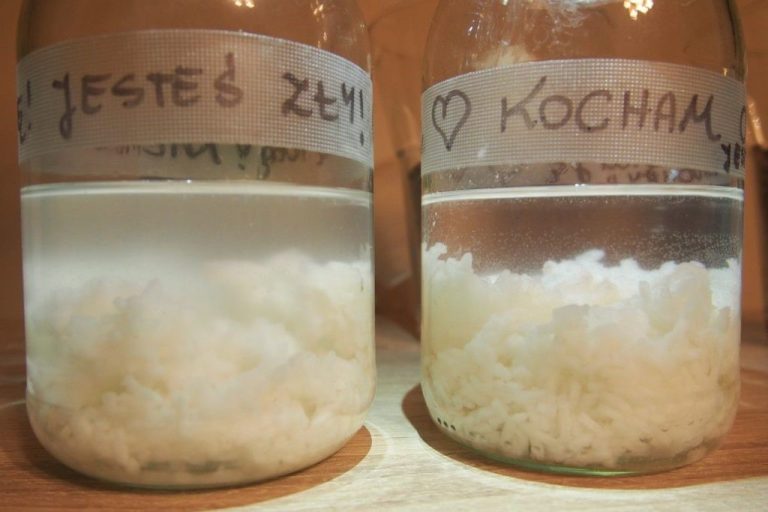 Emocje myśli i słowa a nasze zdrowie